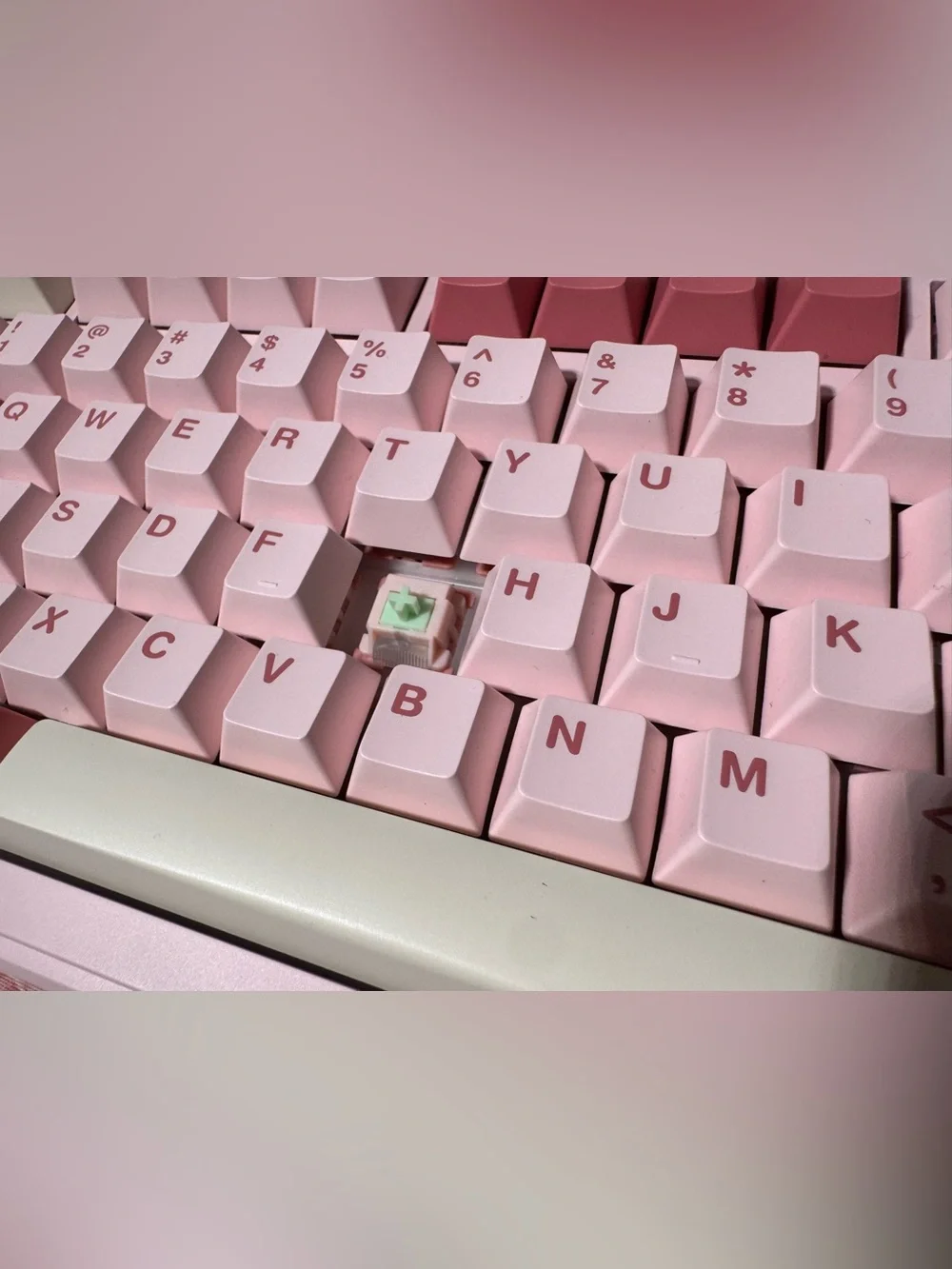 Pink Aula F99